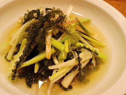 海ぶどうと島らっきょうの和え物 レシピ 作り方 By ワンフーチン大姐 楽天レシピ 海ぶどうと島らっきょうの和え物 レシピ 作り方 By ワンフーチン大姐 楽天レシピ